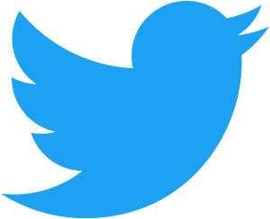 Twitter Paid Marketing in Veraval/Somnath